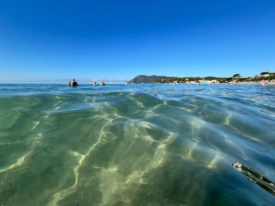 Appart Cosy, Piscine, Clim, Parking Prive - Proche Plage - Arrivee Autonome - Lit Queen Size La Seyne-sur-Mer Eksteriør bilde