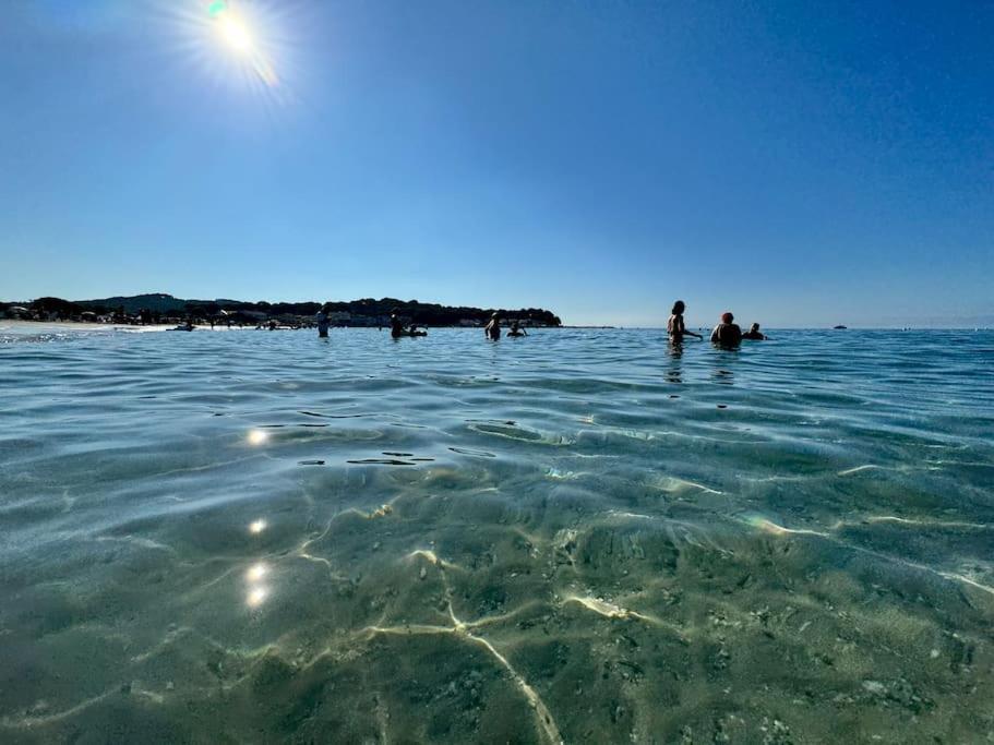 Appart Cosy, Piscine, Clim, Parking Prive - Proche Plage - Arrivee Autonome - Lit Queen Size La Seyne-sur-Mer Eksteriør bilde